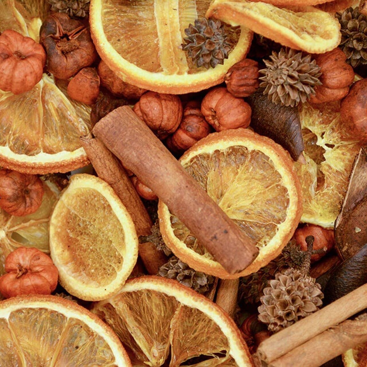 Edge Collection - Orange - Fragrant Orange Spice Potpourri - 1 Pack